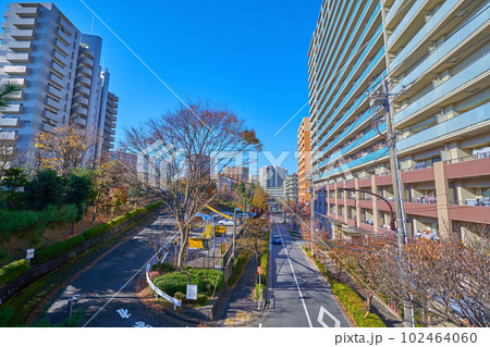 東京都多摩市落合2丁目と5丁目の境目の西落通りを西側に見る 102464060