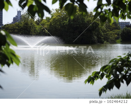 噴水が輝く万代池 噴水が輝く万代池 102464212