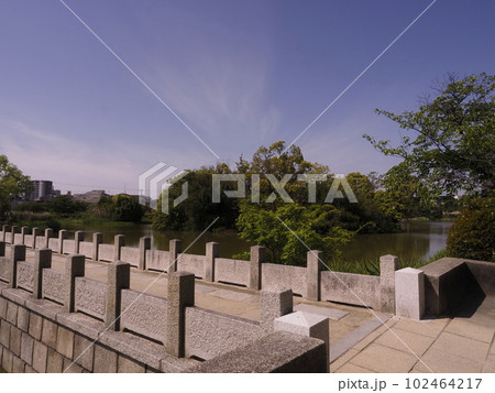 新緑が生える万代池 102464217