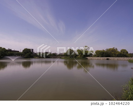 新緑が生える万代池 102464220