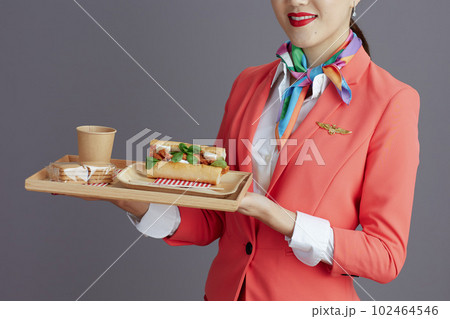 Elegant asian female flight attendant isolated on gray Elegant asian female flight attendant isolated on gray 102464546