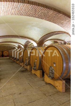 Wine cellar in Piedmont, Italy Wine cellar in Piedmont, Italy 102465910