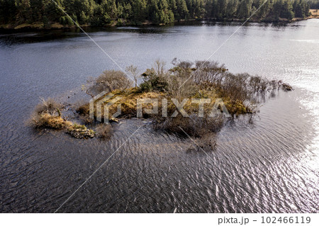 Aerial view of the Lough Anna island - County Donegal, Ireland 102466119