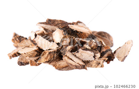 Calamus root isolated on white background. Sweet flag, sway or muskrat root, vasambu. Dry root of Acorus calamus. Calamus root isolated on white background. Sweet flag, sway or muskrat root, vasambu. Dry root of Acorus calamus. 102466230