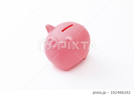 ぶたの貯金箱 102466262