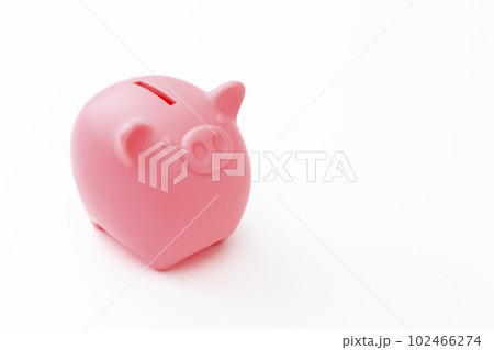 ぶたの貯金箱 102466274