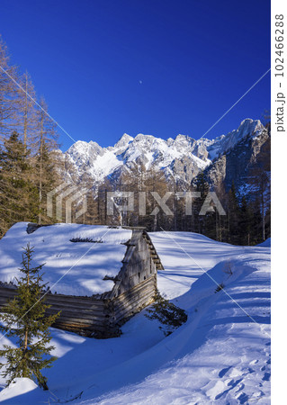 Winter landscape near Vrsic, Triglavski national park, Slovenia 102466288