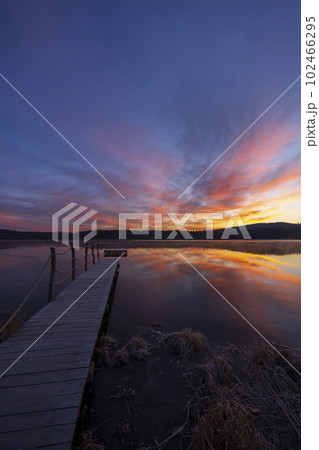 nature reserve Olsina, Sumava National Park, Czech Republic 102466295