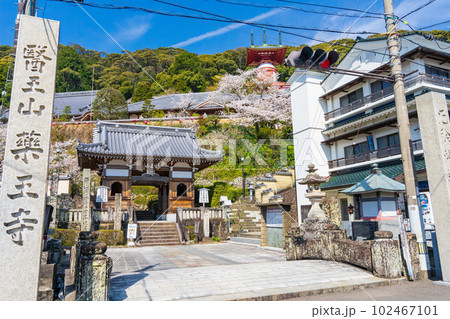 四国八十八ヵ所　第二十三番札所の薬王寺 102467101