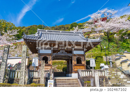 四国八十八ヵ所　第二十三番札所の薬王寺 102467102