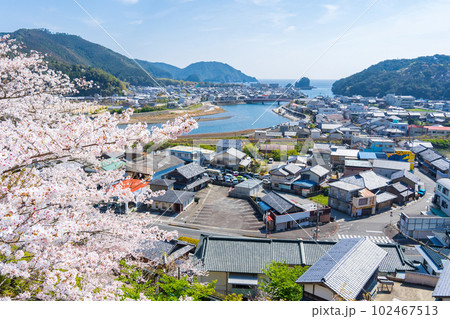 薬王寺から望む桜越しの美波町の街並み 102467513