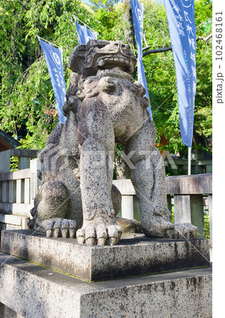 乃木神社 一の鳥居の前の狛犬(東京都港区赤坂) 乃木神社 一の鳥居の前の狛犬(東京都港区赤坂) 102468161