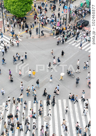 【東京都】ゴールデンウィークで混雑する渋谷スクランブル交差点 102468877
