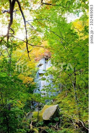 秋の奥入瀬渓流 102469063