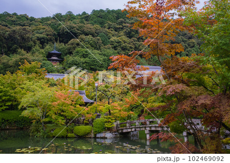 夏の京都　永観堂 102469092