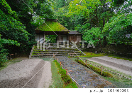 夏の京都　新緑の法然院 102469098