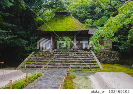 夏の京都 新緑の法然院 夏の京都 新緑の法然院 102469102