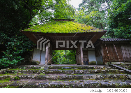 夏の京都 新緑の法然院 夏の京都 新緑の法然院 102469103