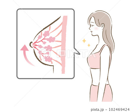 張りのあるバストの図と若い女性のイラスト 102469424
