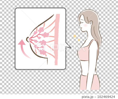 張りのあるバストの図と若い女性のイラスト 102469424