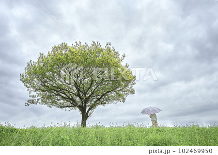 雨の中傘を差す子供 雨の中傘を差す子供 102469950