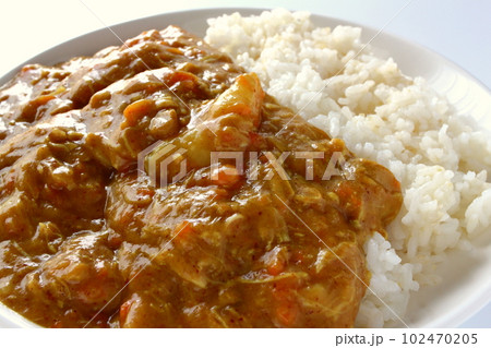 具が溶けたカレーライス ジャガイモ以外ほとんど解けたカレー 具が溶けたカレーライス ジャガイモ以外ほとんど解けたカレー 102470205