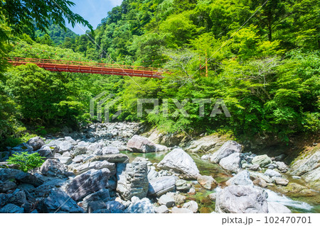 安居渓谷:蓬莱橋 安居渓谷:蓬莱橋 102470701