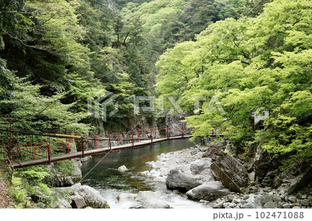 三段峡の黒淵にかかる橋 102471088