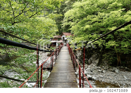 三段峡の黒淵にかかる橋 102471089