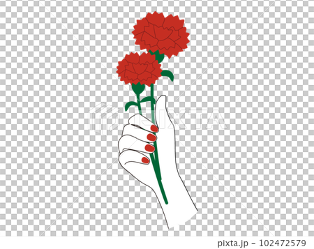 赤いマニキュア(ネイル)をした上品な手で赤いカーネーションを持ち相手にメッセージを贈るイラスト 102472579