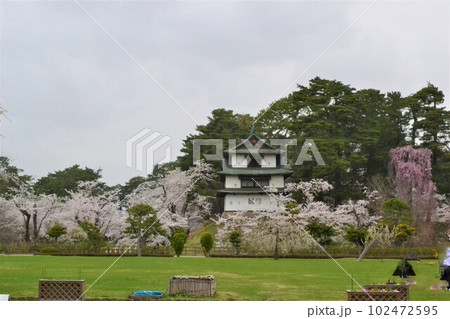 記録的に早く桜が満開になった弘前城の櫓 記録的に早く桜が満開になった弘前城の櫓 102472595