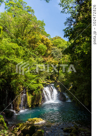 熊本県菊池市　菊池渓谷　天狗滝 竜ヶ渕 102472826