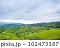 Green Terraced Rice Field, green rice fields in the countryside in Chiang Mai, Thailand. 102473387