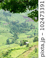 Landscape view of rice terraces and house of Thailand hill tribe. The village is in a valley among the rice terraces in Mae Jam, Chiang Mai, Thailand. 102473391