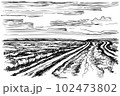 Simple hand-drawn vector drawing in black outline. Rural landscape, steppe road, farm fields, grass, bushes and trees on the horizon. Nature, summer. Ink sketch. 102473802