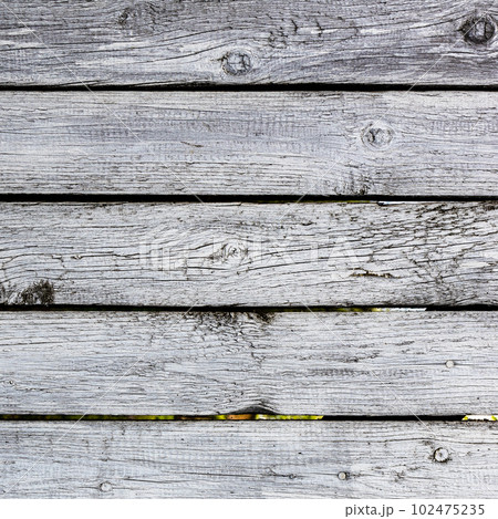 shabby white painted planks close up of old fence 102475235