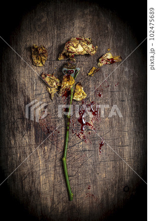 dried, broken and bloodied yellow flower on a wood 102475689