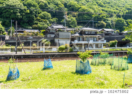 肥薩線　段駅 102475802