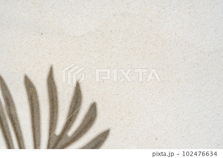 Background of palm leaf shadow on light beach sand with a place for text. Top view. Background of palm leaf shadow on light beach sand with a place for text. Top view. 102476634