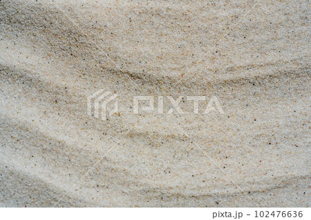 Macro close up sand texture. Background from fine sand. 102476636