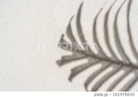 Background of palm leaf shadow on light beach sand with a place for text. Top view.  102476638