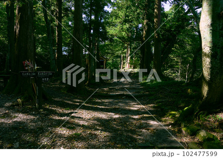 大山の夏山登山道から阿弥陀堂に続く道 102477599