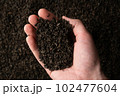 Hands taking a handful of fanning or broken loose leaf black tea and examining it in detail. Close 102477604