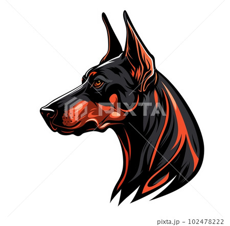 Doberman intelligence hot sale