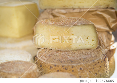 Hard cheeses. A large piece of cheese in a cheese factory, on a shelf. Production and sale of cheese. Small business concept. 102478665