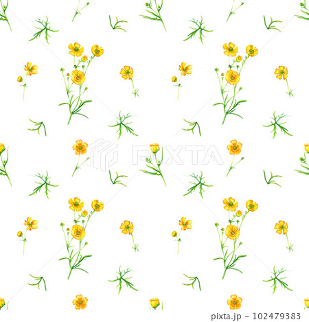 Seamlesss pattern with yellow wild flower buttercup blooms and leaves 102479383