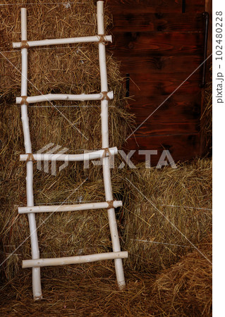 A wooden staircase stands in a barn against the background of hay 102480228
