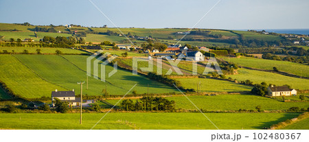 Green farm fields in the south of Ireland on a summer evening. Agricultural Irish landscape. Pastures for livestock, house on green field. 102480367