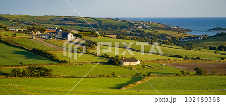 farm fields in the Ireland on a summer evening. Agricultural Irish landscape. Pastures for livestock, house on green grass field. 102480368