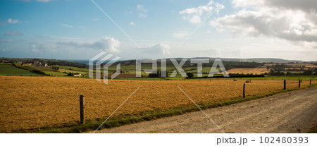 Agricultural fields of Ireland under the blue sky on a summer evening. A country road near a fenced field. field under blue sky 102480393